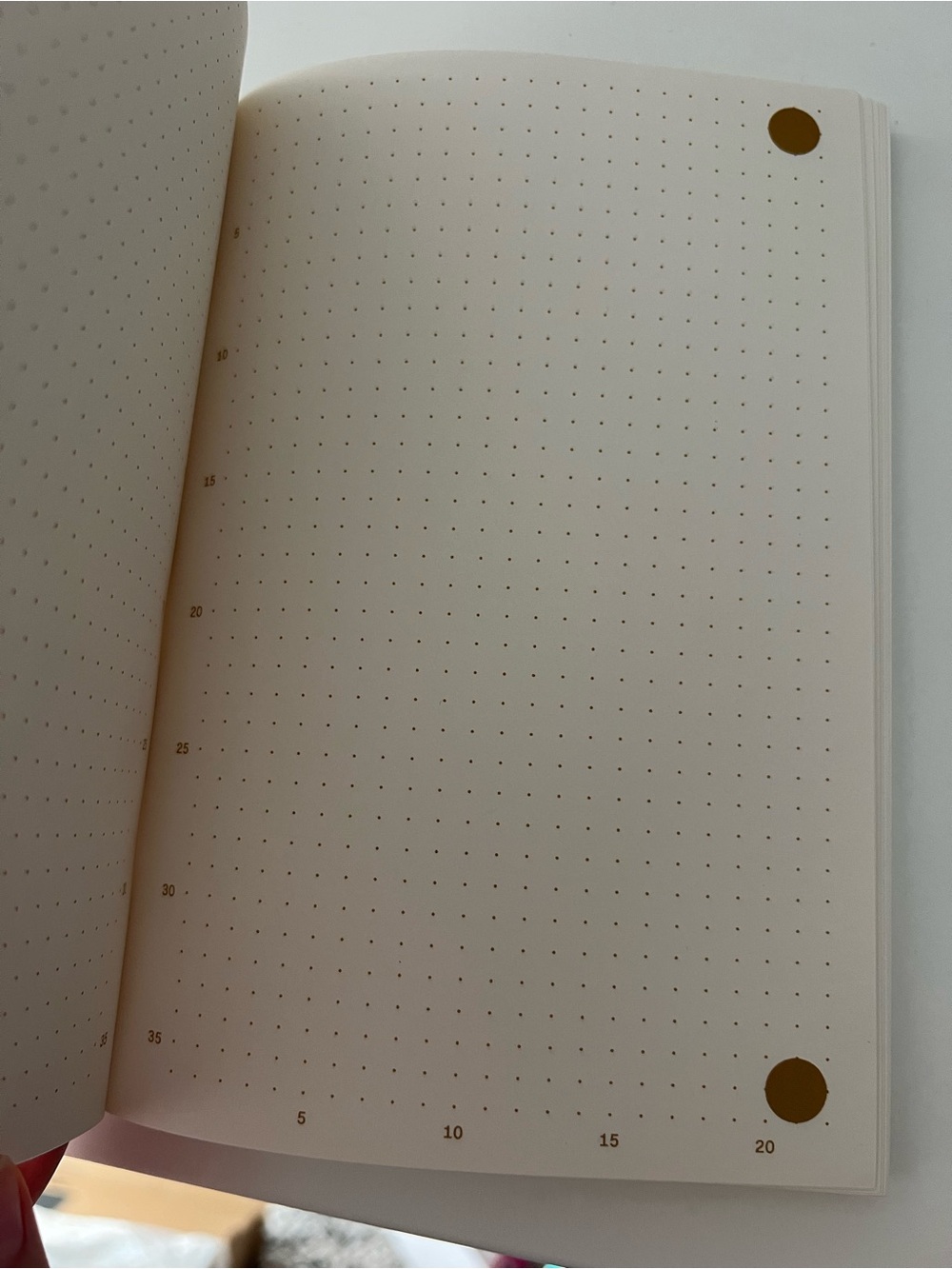NEW Figma Graph Notebook - Picture 3 of 5